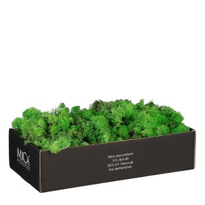 Dekomoos Mossy Green