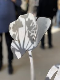 Valmue med blomsterknop | corten stål