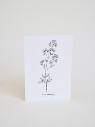 Herbal illustrated Cards