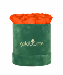 Colección Terciopelo Verde
