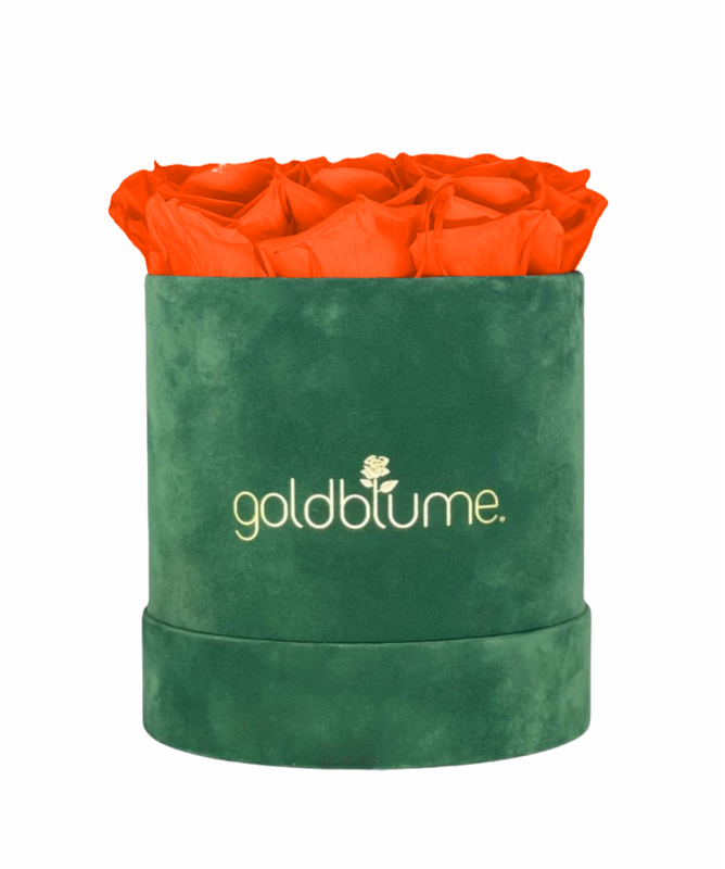 Colección Terciopelo Verde