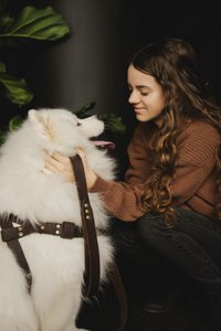 Norwegische Zahnspangen für einen Hund aus der flauschigen Welpenmarke, natürliches Leder, 3 Größen, handgefertigt!