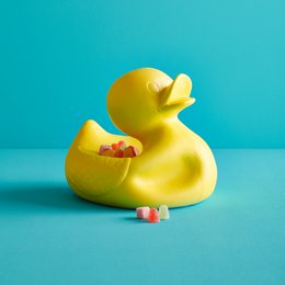 Hr. Ugly Duckling Small & Large