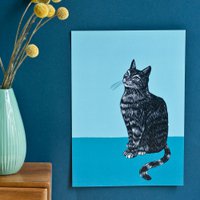 Poster A4 Katze