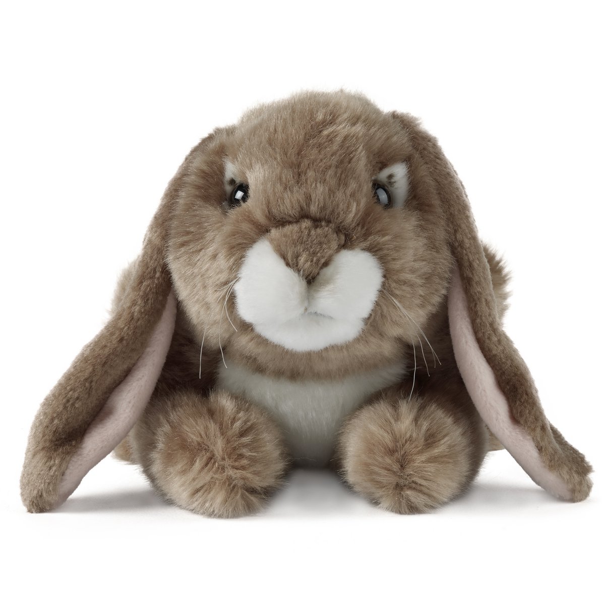 DARK BROWN LOP EARED RABBIT 24CM Online Wholesale Orderchamp