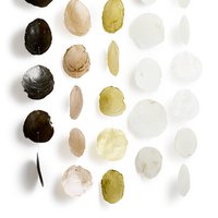 Shell garland Capiz Medium