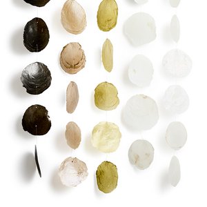 Schelpenslinger Capiz Medium