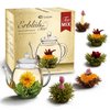 Creano Teeblumen-Mix Geschenkset mit Glasteekanne