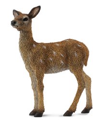 A small, brown deer calf with large ears and a slender body. The deer appears to be standing in a natural setting.
