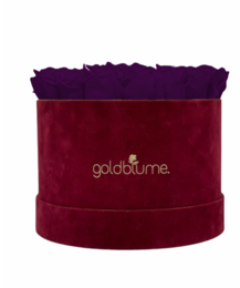 Velvet Bordeaux Collection