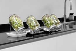 Sproutungsglas Set, 1000 ml Gläser