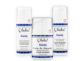 Dandy range of men's skincare products, including a moisturizer and aftershave. Features a clean, minimalist design with blue and red accents.