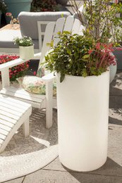 Shining Elegant Pot XL 