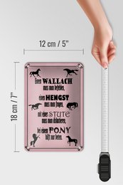Tin sign saying 12x18cm horses wallah stallion pony mare decoration