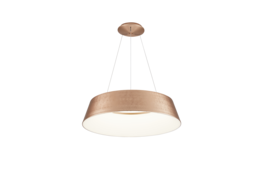A modern pendant light with a round, wooden frame and a clear glass shade. The light features a remote control for adjusting the color temperature from warm to cool white.