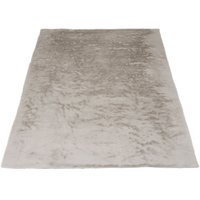Rug Morbido Taupe 5529 – 160 x 230 cm