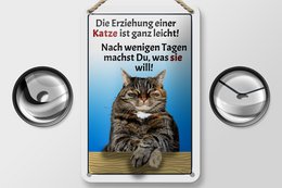 Tin sign saying 12x18cm raising a cat easy decoration