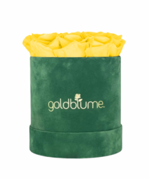 Colección Terciopelo Verde