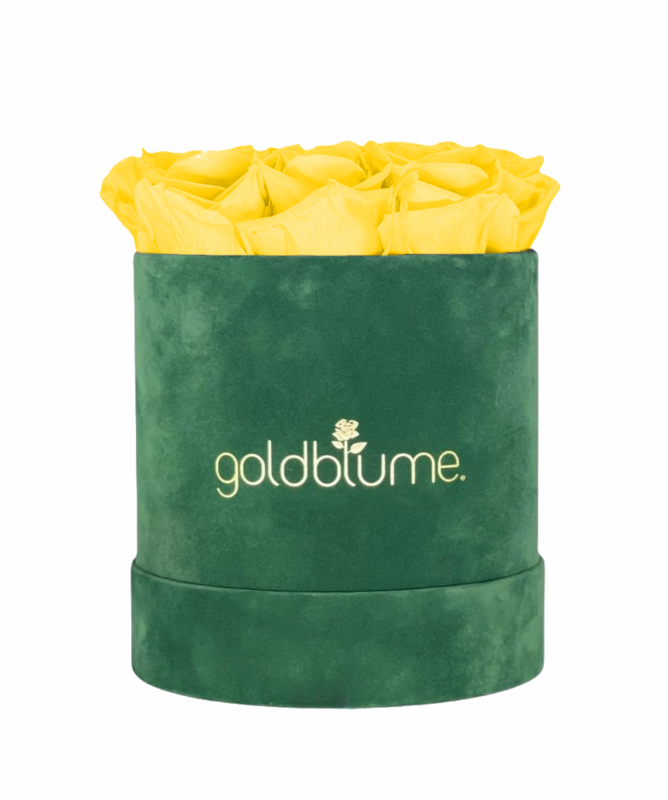 Colección Terciopelo Verde