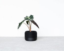 APPLE indendørs plantekasse