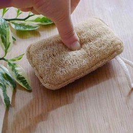 Natural and biodegradable loofah sponge