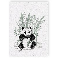 Growth map Panda bear