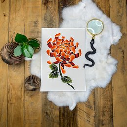 Vibrant orange chrysanthemum flower with green leaves on a white background. The image showcases the intricate petals and foliage of this beautiful floral design.