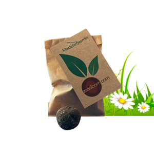 1 Samenbombe in Bag: Daisy Mix