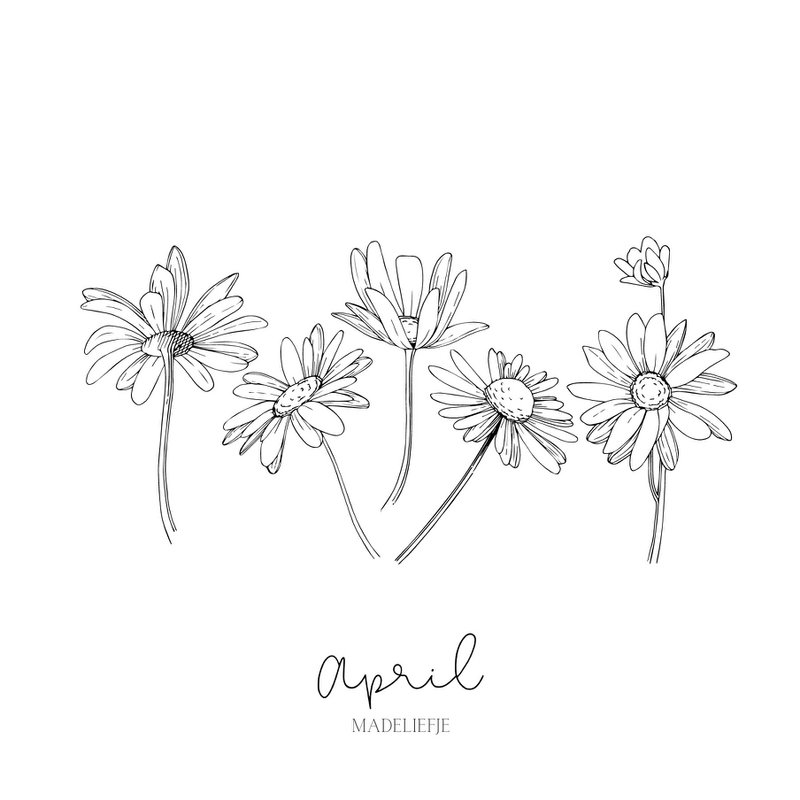 Geburts-Blumenfliese | September