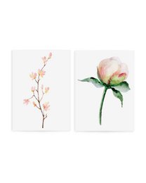 Rose Spring set