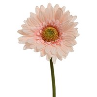 Artificial flower Gerbera H50cm pink