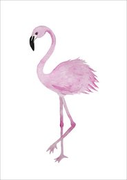 A vibrant pink flamingo standing tall on a white background. The flamingo has long legs, a curved neck, and a distinctive beak.
