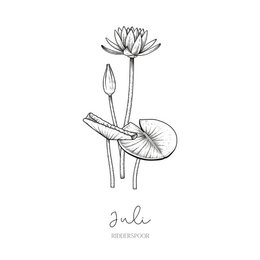 Geburts-Blumenfliese | September