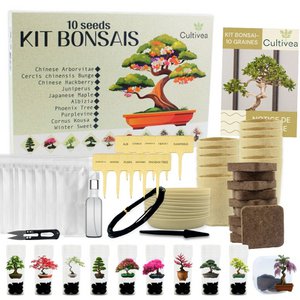 CULTIVEA® Kit mit 10 Bonsai zum Pflanzen – Komplette Box mit Samen, Töpfen, Werkzeugen und Anleitung – Einfaches Pflanzset für den Innenbereich – Geschenkidee für den Garten | Hergestellt in Frankreich