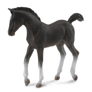 Tennessee Wandelpaard - (M)