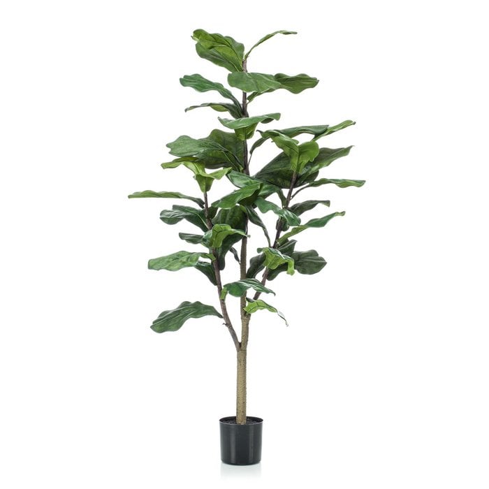 artificial tobacco leaves Artificial plant - Ficus Lyrata - Tobacco plant - 120 cm Online Wholesale artificial tobacco leaves Artificial plant - Ficus Lyrata - Tobacco plant - 120 cm Online Wholesale
