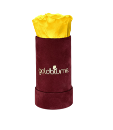 Velvet Bordeaux Collection