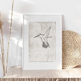Kunsttryk "Hummingbird" | forskellige størrelser