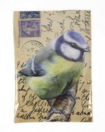 A small blue and yellow bird perched on a branch, with a vintage postcard-style background.