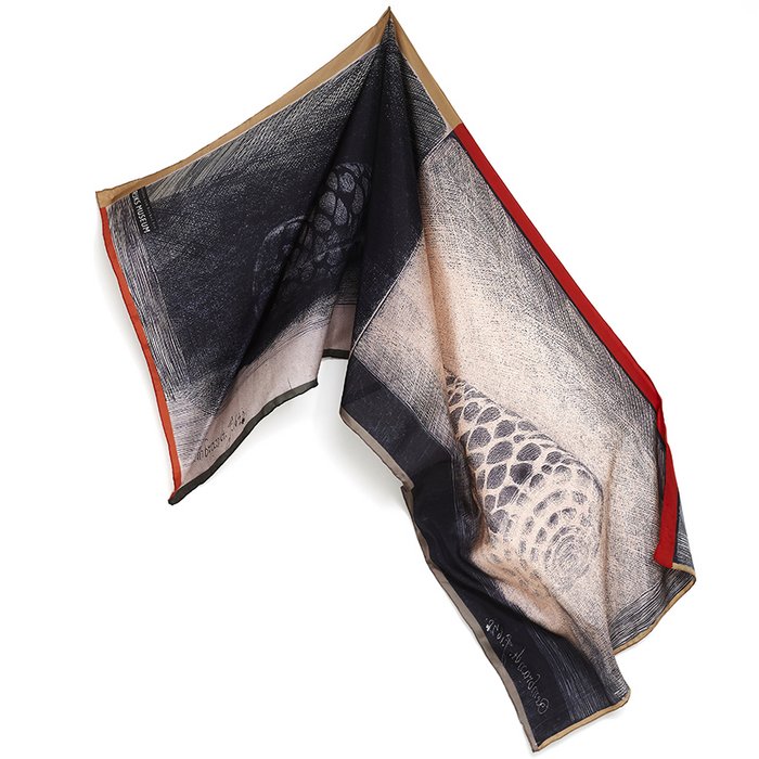Museum Collection | Conus