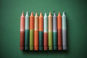 Dippy Winter Collection