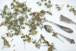 Achillea Tè - tè sfuso