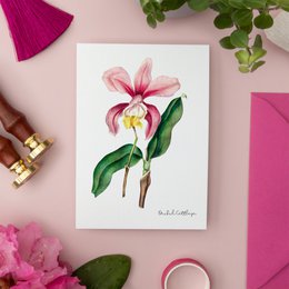 Pink Pack - Handgemachte Postkarten A6 mit Umschlag - Botanical Vintage