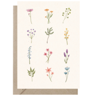 Ansichtkaart | In het Bloemenveld