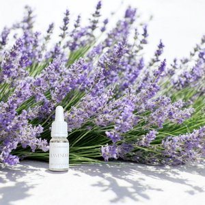 Lavender Essential oil 10ml/0.34oz