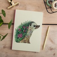 P017 - Igel