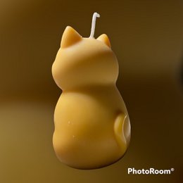 ¡Maullar! ¡Llévame a casa! Vela Gatito Adorable