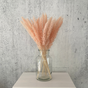 Pampasgras rosa 15 Stück