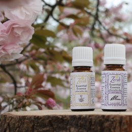 Essential Essence – Detergent Blends 10ml, a laundry perfume available in Earthy Essence, Lavender Love, Orchard Breeze, and Spa Spheres scents. The product features a floral, natural fragrance.