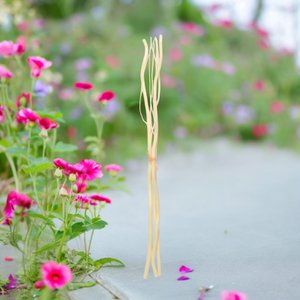 Set aus 3 Rattanstielen mit Zweigen – Natürliche Duftdiffusion